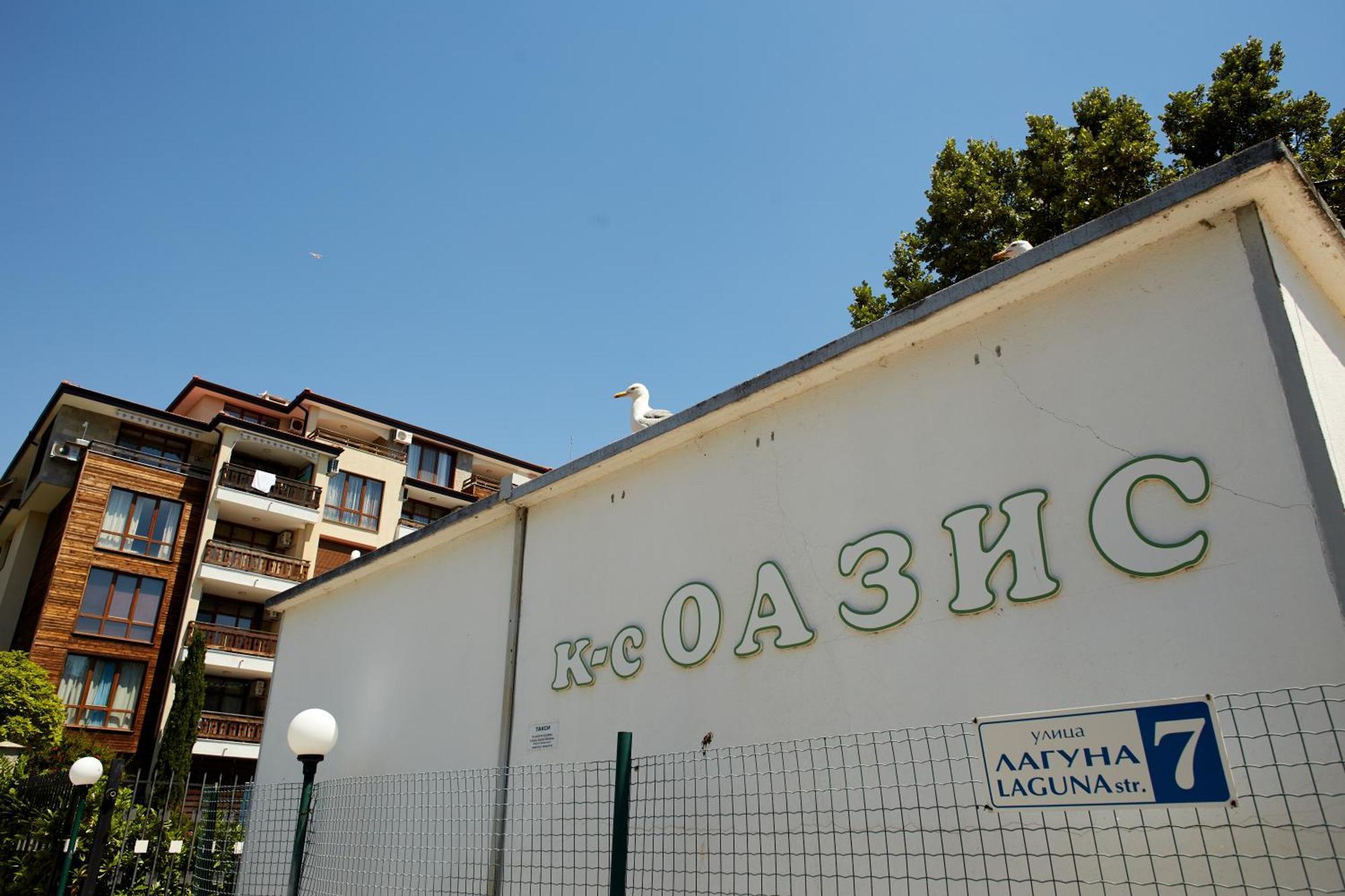 Luxury First Line Apartment With Pool By The Sea ネセバル エクステリア 写真